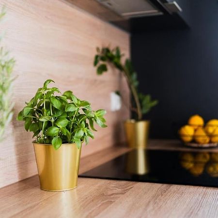City Center - 3 Rooms - New Building - Private Parking Place - Garage Вроцлав Екстериор снимка