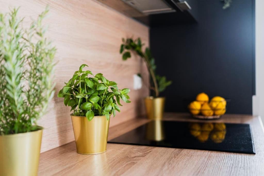 City Center - 3 Rooms - New Building - Private Parking Place - Garage Вроцлав Екстериор снимка